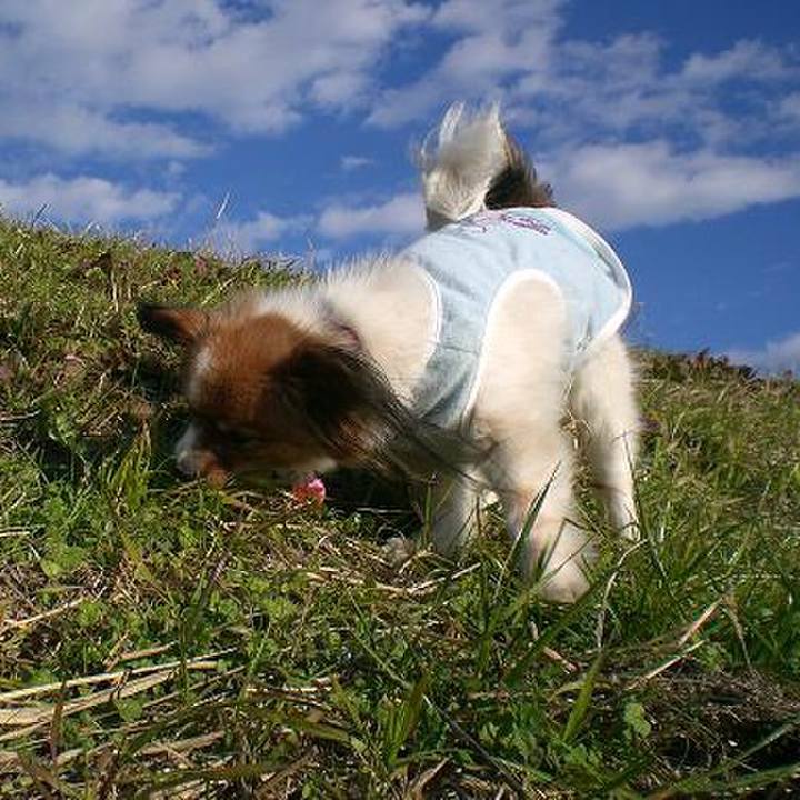 992b8f38 0971 48f2 a1cc 3b3949c09cd7