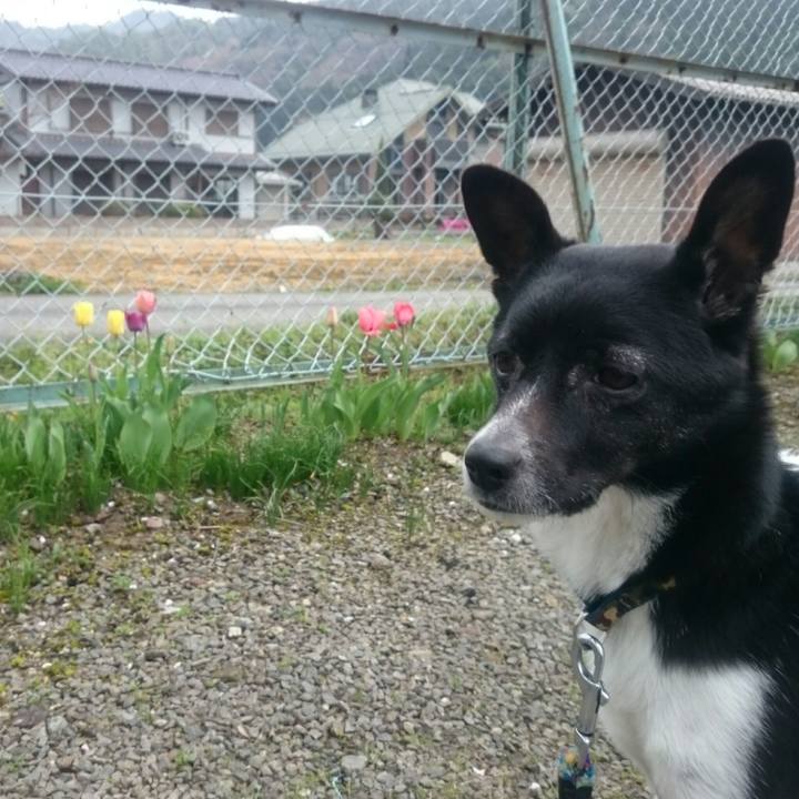 992df7e3 1e17 4b9d abf0 eb431f5f2235