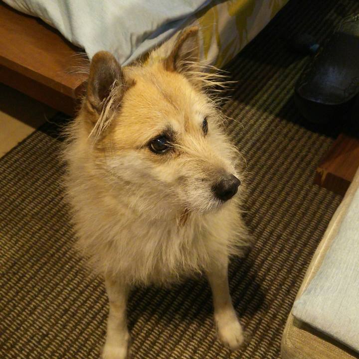 992e3a50 49e7 4f82 ba11 87fd656c216d