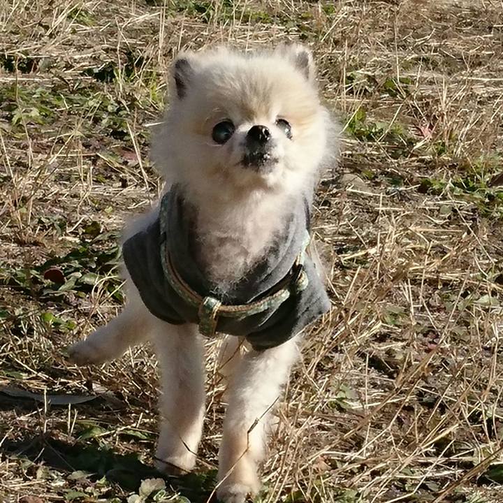 992e964e 0c4c 4883 a67e 60cfc7c85290