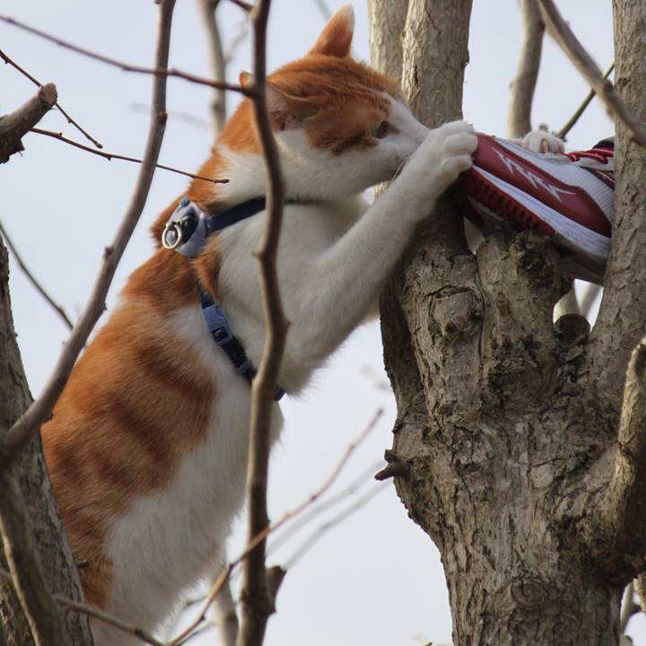 992e9edd 4951 4dde be24 e387b559bf4c