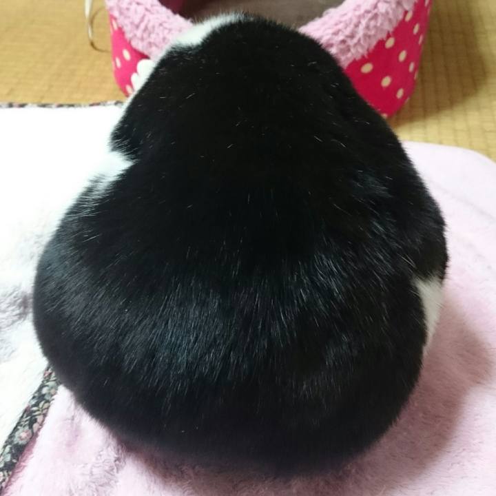 992f111c f3a5 40c2 8141 ca0166a40887