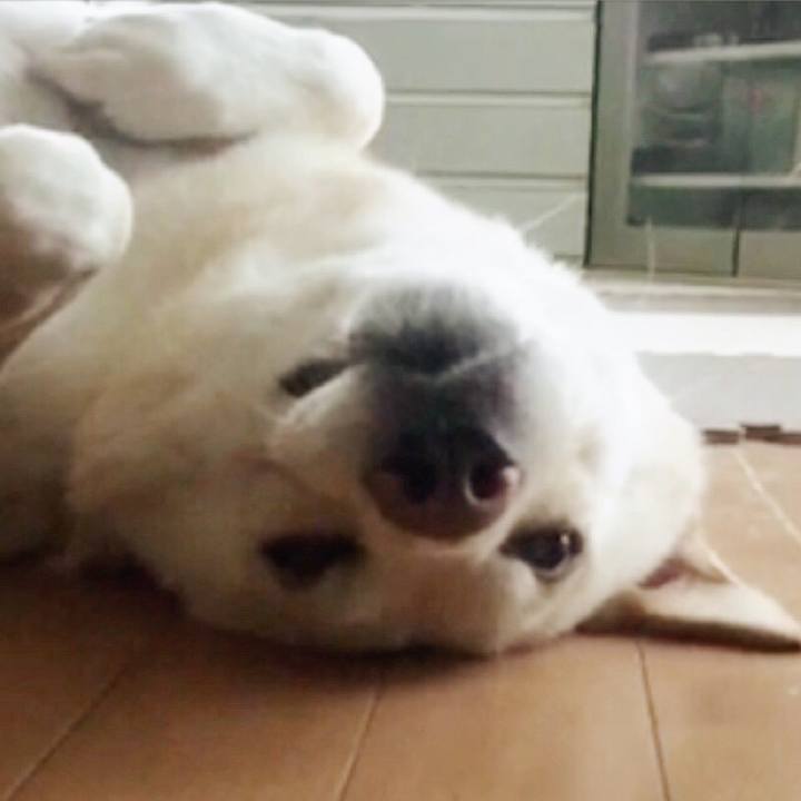 992f2fd1 40dc 4faf 91e5 6d6f1faa96eb