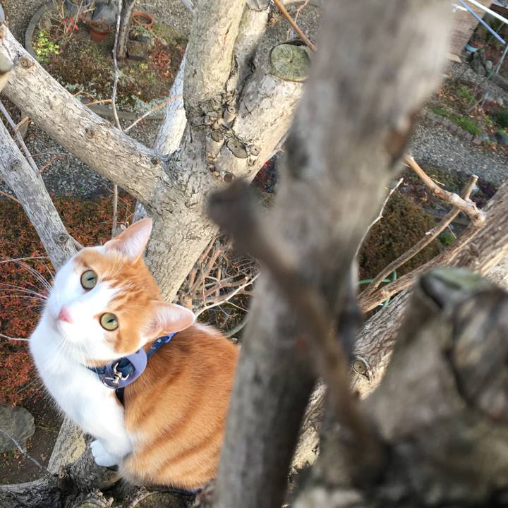 992fd706 219d 4948 86c9 2e0f0599e3fc