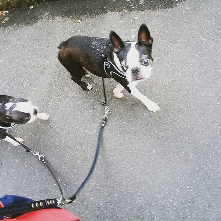 99304c02 e53d 4fd4 a8e6 abe7403cdd23