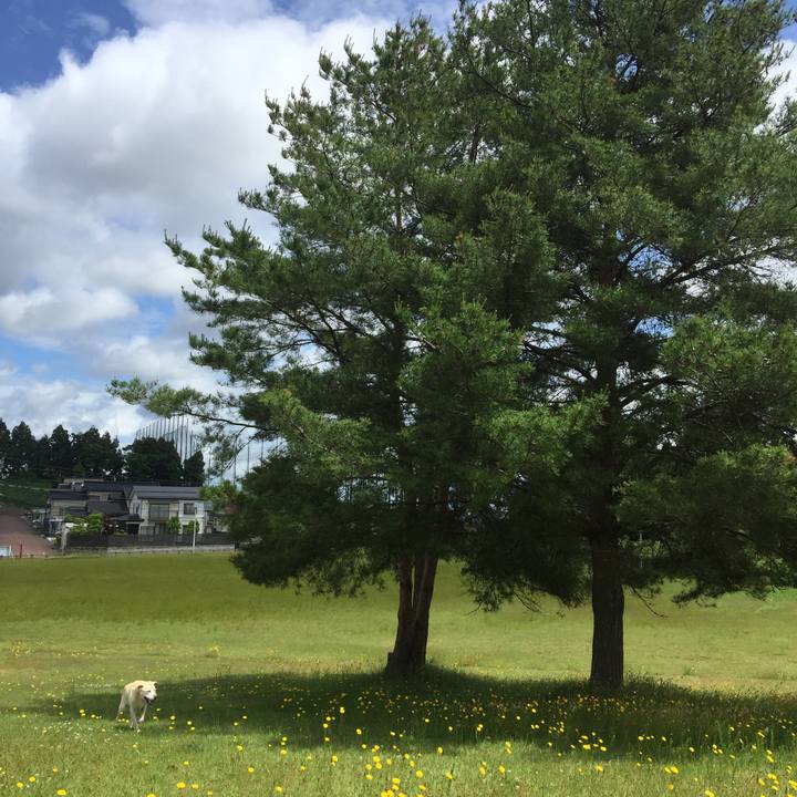 993082ae e5cb 43fb a75b 9ae90f672a4b