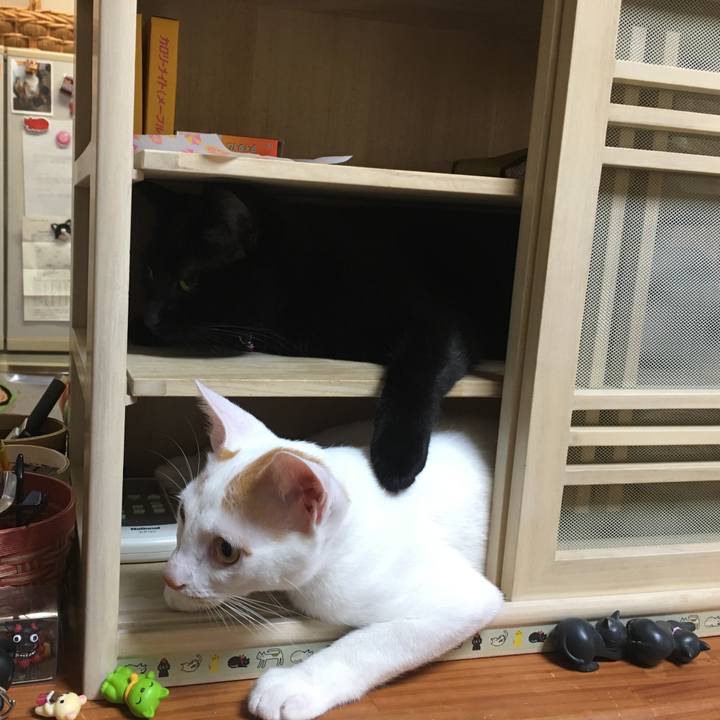 9930a9d3 c8dd 4421 879b 63a2f817e9c4