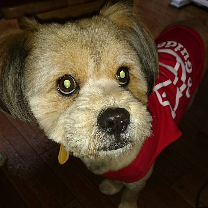 99319514 da28 4c58 864a 22c2fc807425