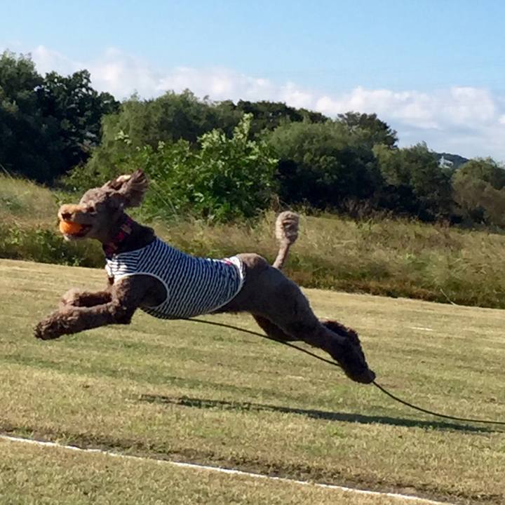 9931cf61 786a 43b8 b22f 3997d2336102