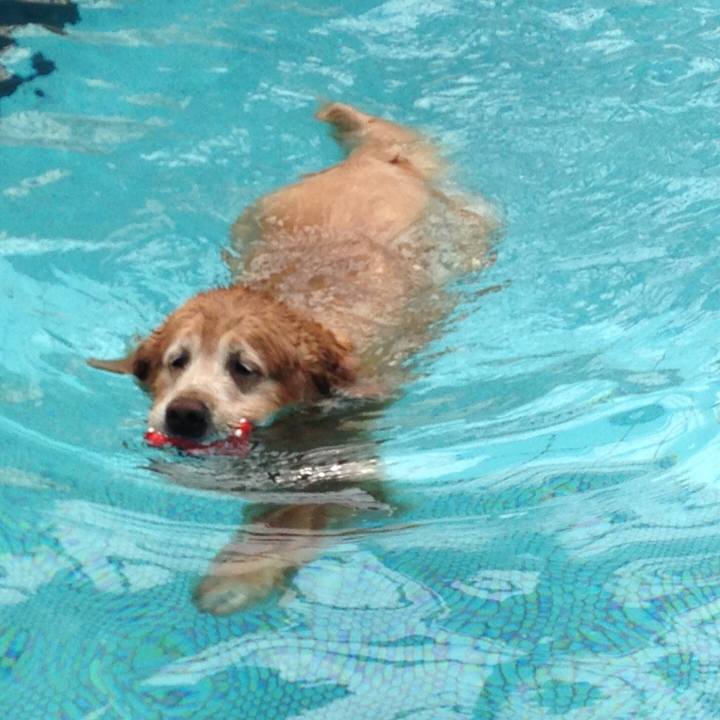 99321bf2 5c89 42d3 b0d6 05ddf9107706