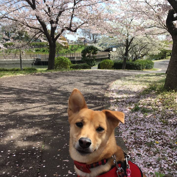 9932b5d8 d79f 475a a506 1e7d2adad183