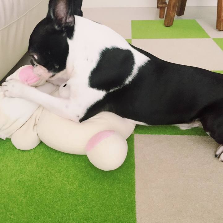 9932b668 4178 429e a91b 27875cc804ad