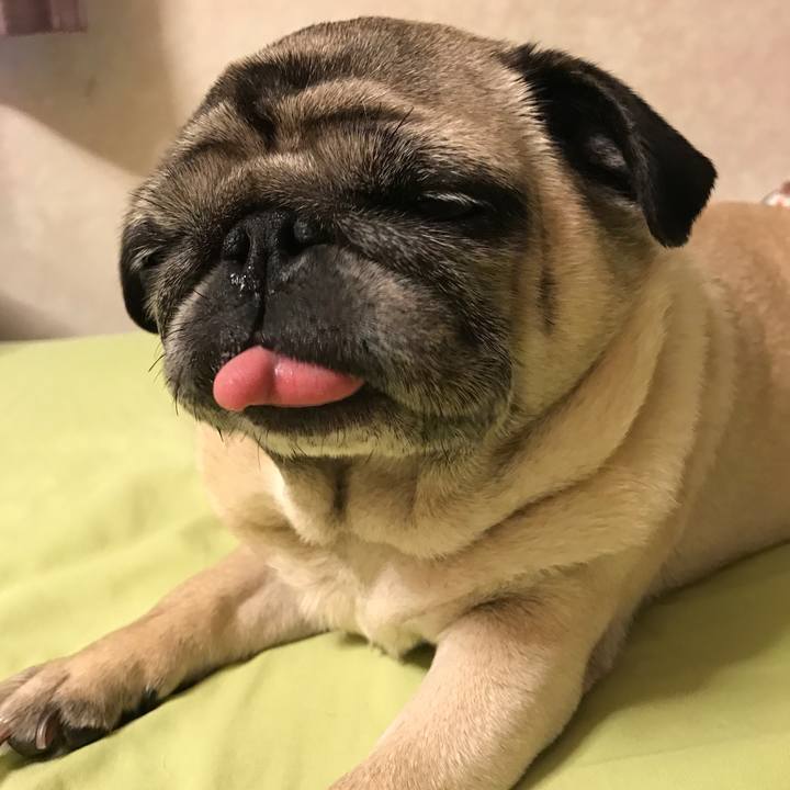 99332524 93ef 419d 85db 311422764bd4