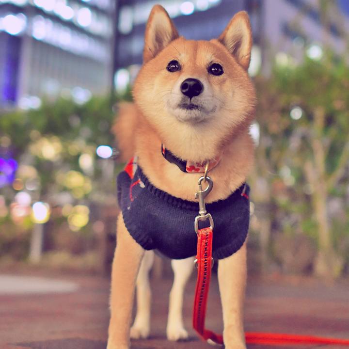 99335e49 4b0d 49b6 b488 fe1dfb6f9ad5