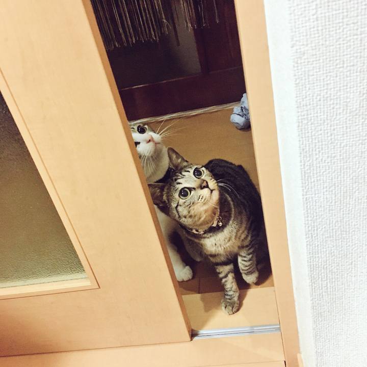 99336214 9bb0 4762 ab68 8c1dc45e32c8