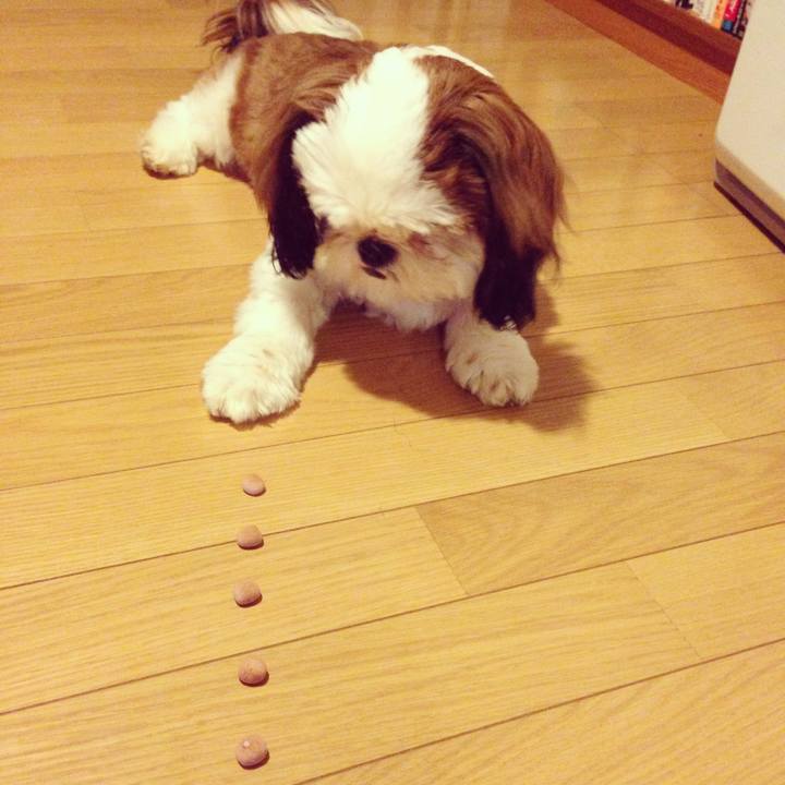 9933ac7b 45c1 4030 97fb a5415833e59b