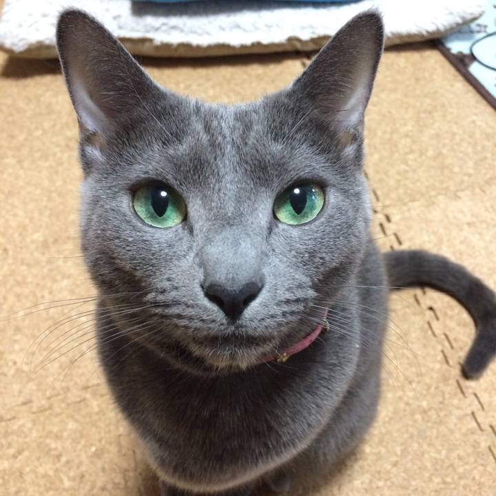 9933e7c3 32e5 446e a3da 6950c853157f