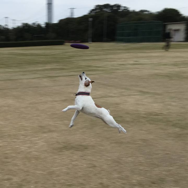 99342235 d7d5 4231 8014 272e0eb63839