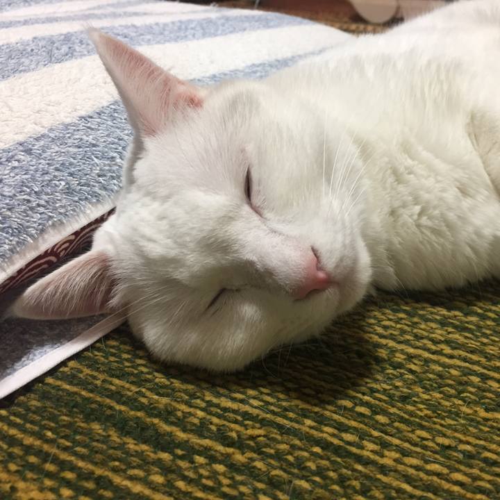 99344152 e417 43ec b891 9487b08dfb34