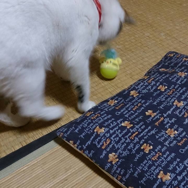 99346bbf 9a76 4bb1 b25b e0d14bc9fa83