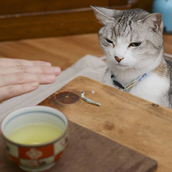 9935b6ae 3f32 42d5 8bb5 740cd50126c0