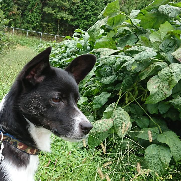 9935da09 693d 48a0 b187 e7810859cdab