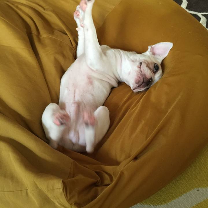 99368b05 42e9 4091 b659 14038fb46b6d