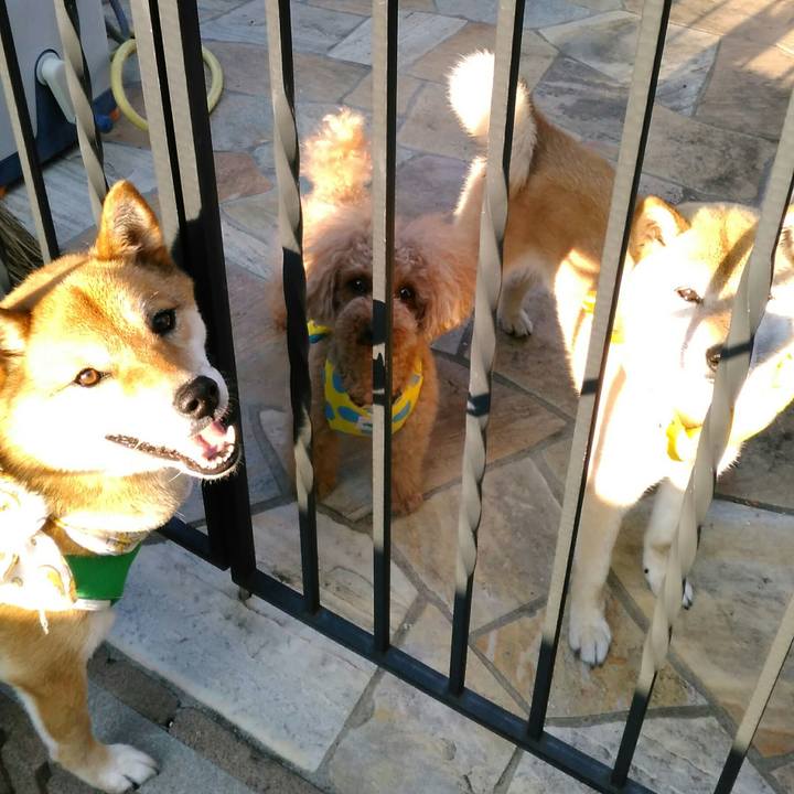 9936a48f cc9c 40fa ba58 6a800d352e6d