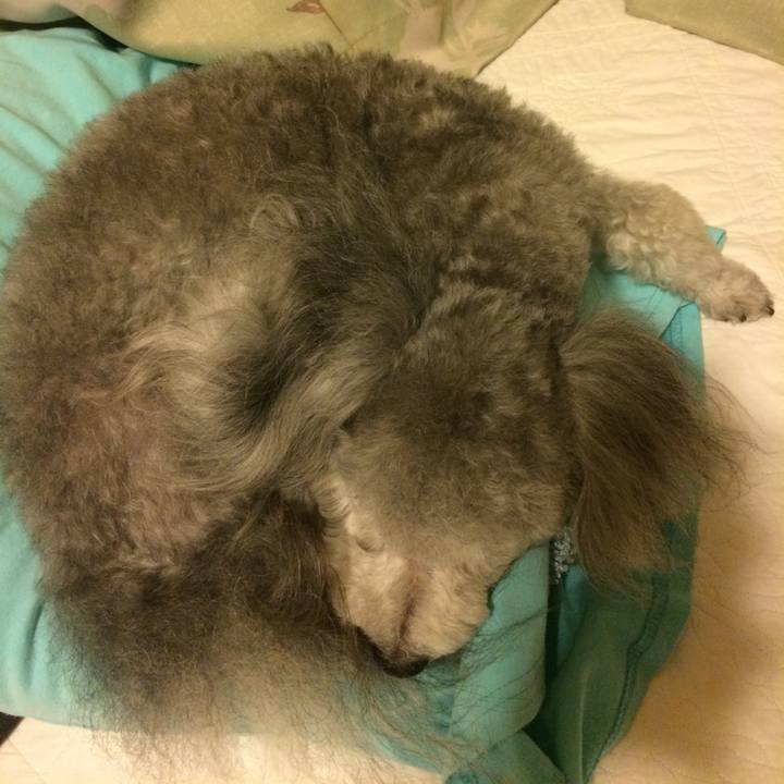 9938d475 dadb 43d1 bf57 0a743c95ee67