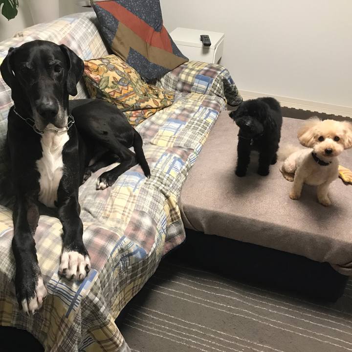 99391cc4 8257 4f4b 9dad 5a4158e2b1d5