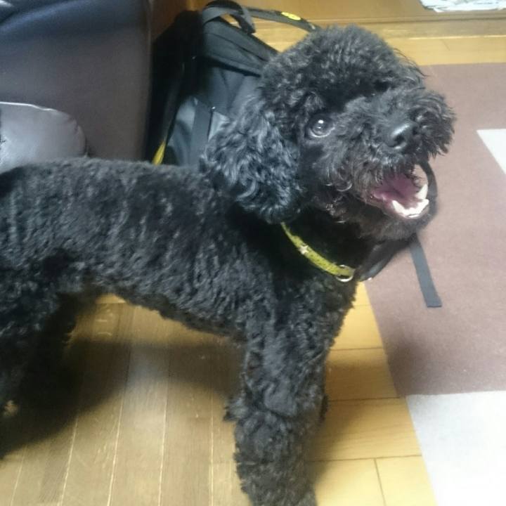 99395f03 46b8 45eb 8350 fa1c517ba24d