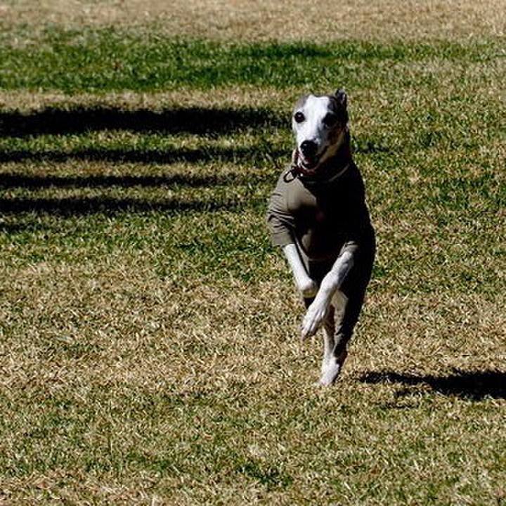 9939b1ac ff87 4c03 9732 29eb2c54e651