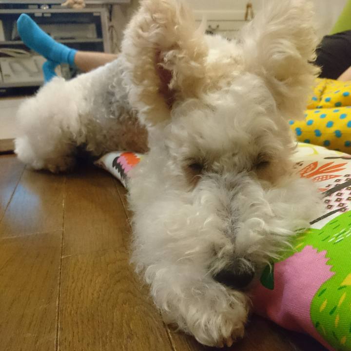 993a1e80 cdde 4b7e a33d c1f156253eee