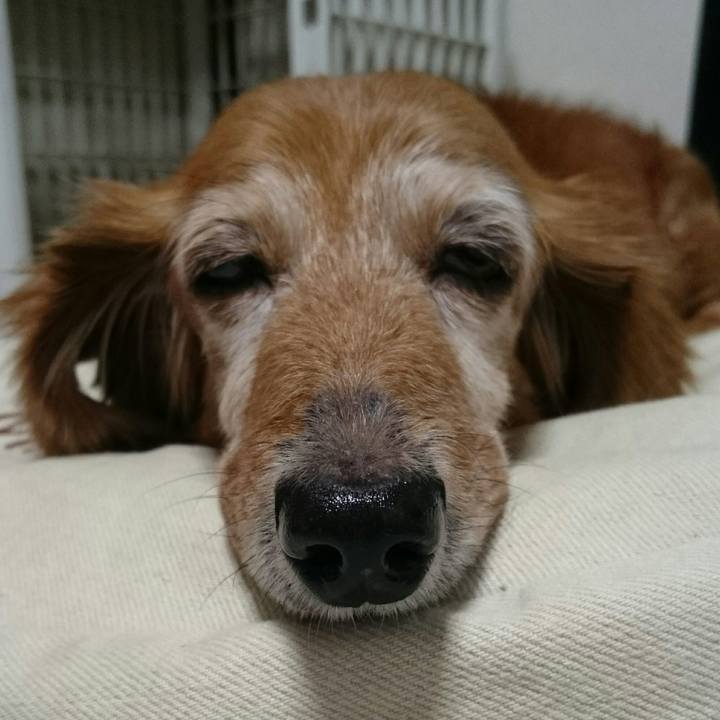 993a58d2 ca0c 4160 abdc 2648734b5216