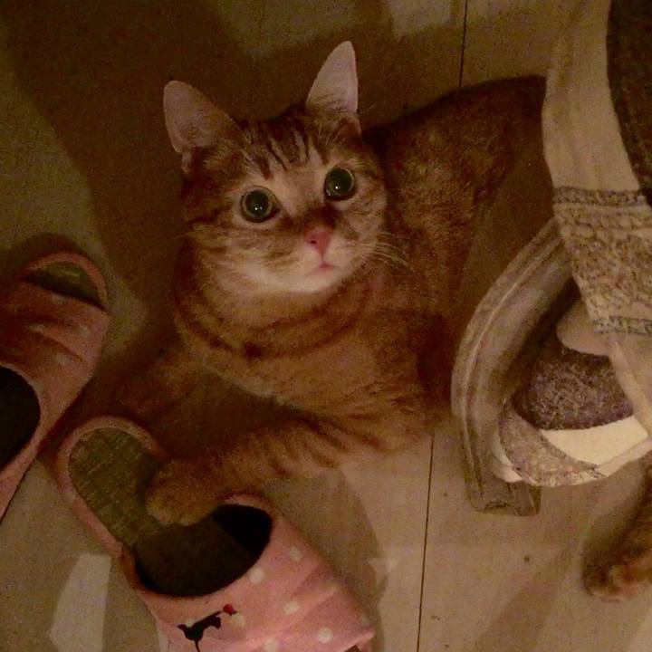 993a70c7 9696 4852 aca8 1800f6a5b57d