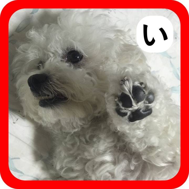 993a95e9 4795 4afc bf7d 18cde6f2b10c