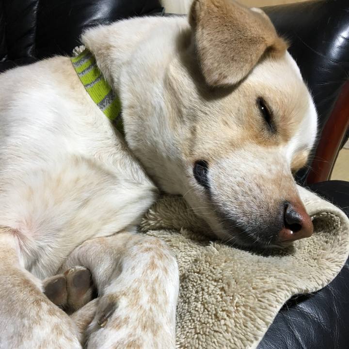 993ae115 d16d 4b89 8e39 5f30c20eae6d