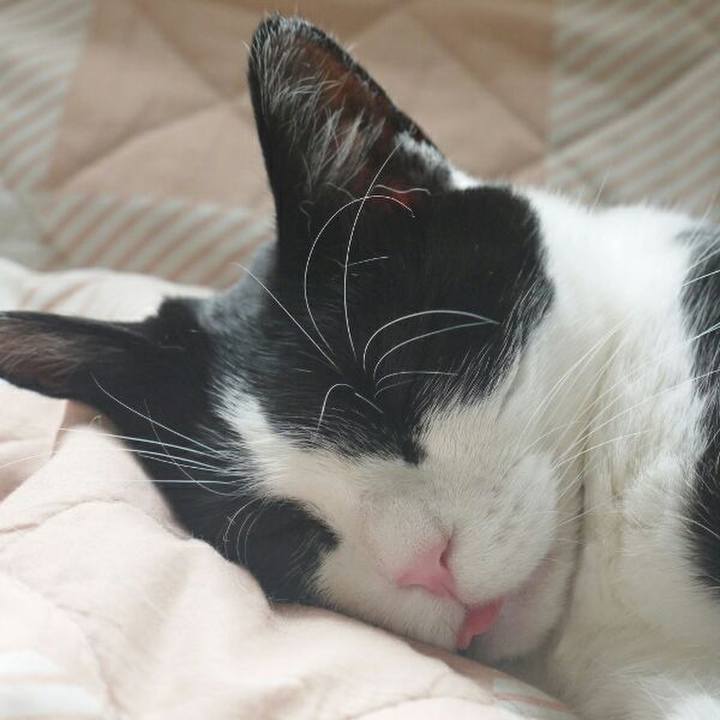 993af397 babe 47d4 9d71 99723b7787f4