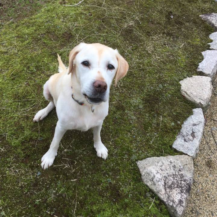 993b38a0 3eb2 4346 b3c3 4c1c86bca8ed