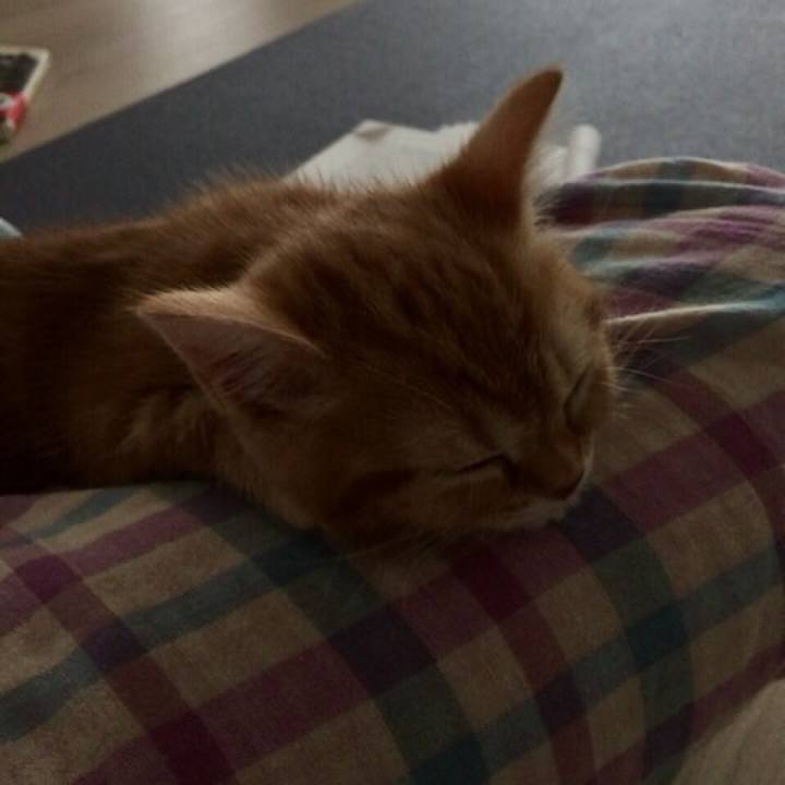 993c2b9b 6d74 47d4 8047 66d42ea29b30