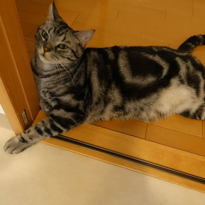 993cae5a 8434 4658 891f f0cbfcbab299