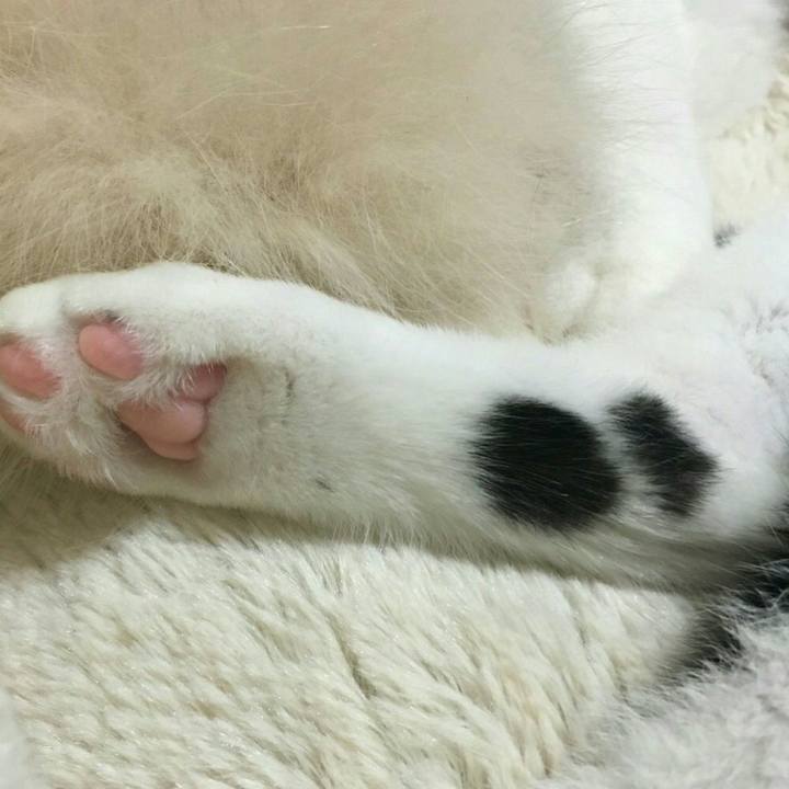 993cbbd3 6791 44a4 aff8 c5377f1f5cf5