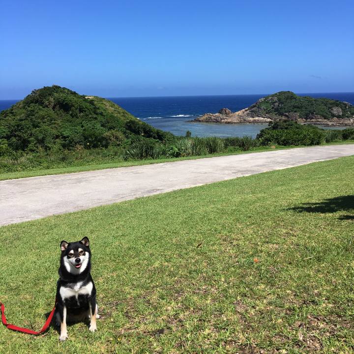 993cd42b e6aa 49c6 9bd6 02715a8a72a5