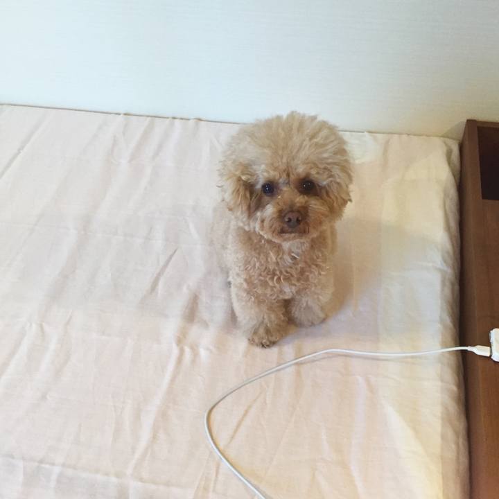 993d995c 6765 42ec 8fc4 255b033d28ee