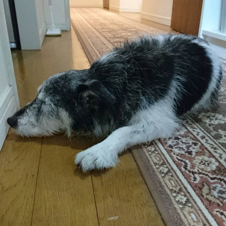 993e42d7 e40f 4096 a029 d3b4f88c9cdf