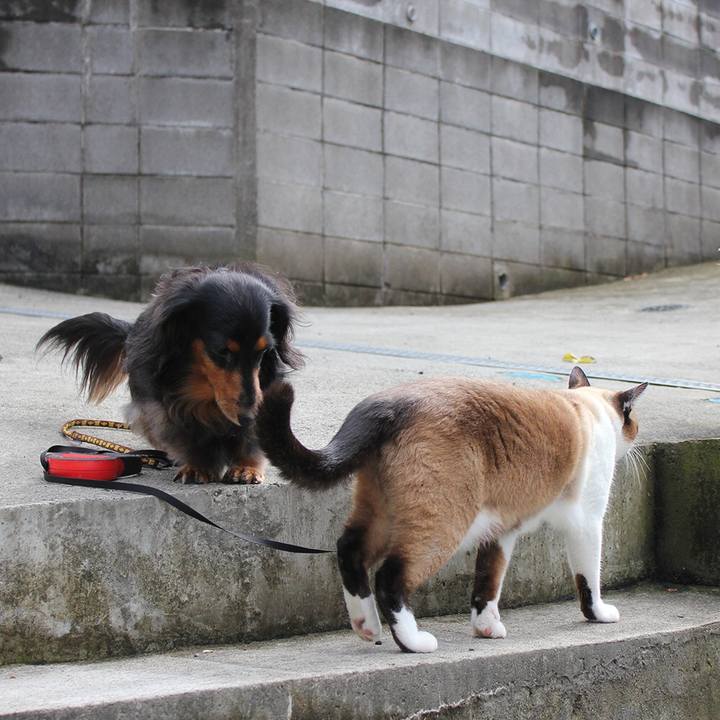 993f6e16 0410 4026 91a7 88f4e01a8eff