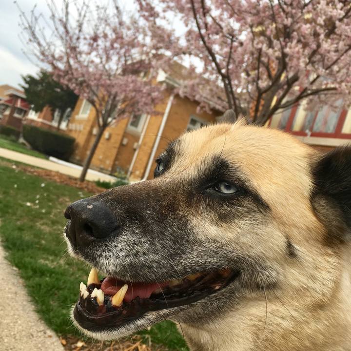 993f9b11 5342 42fe be9a 40f78de410b5