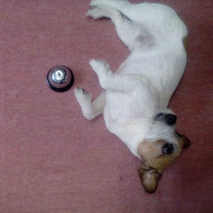 99403120 428e 425b 8bce 8fb99bd536a8