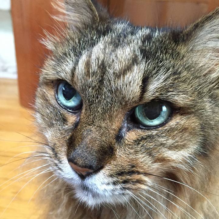 99409666 8a24 4ab1 bfc0 45120c6f7a76