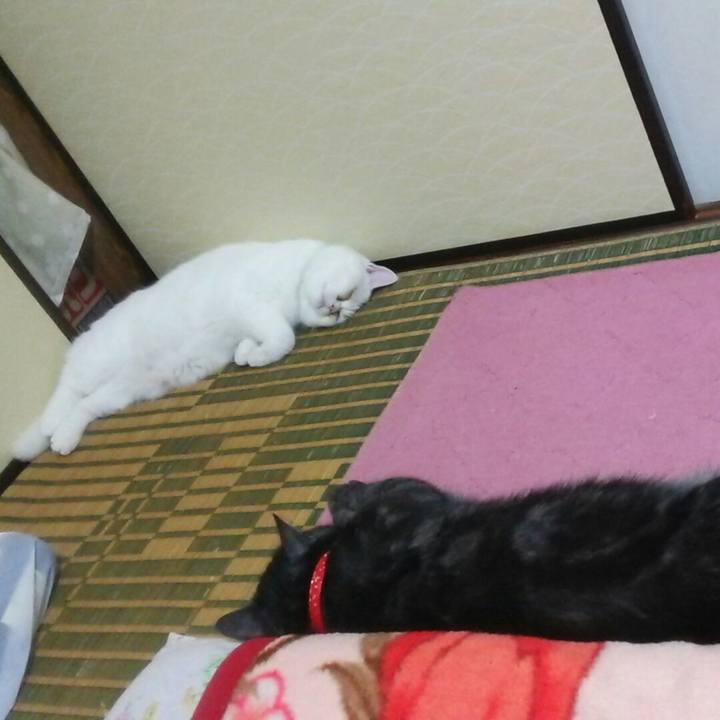 99416d1d c1ae 4789 a763 dc84acc46180